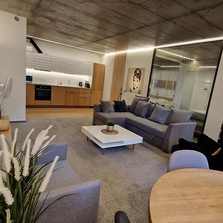 Appartement Kauno-algirdo Luxury