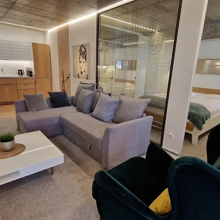 Kauno-algirdo Luxury Apartament *