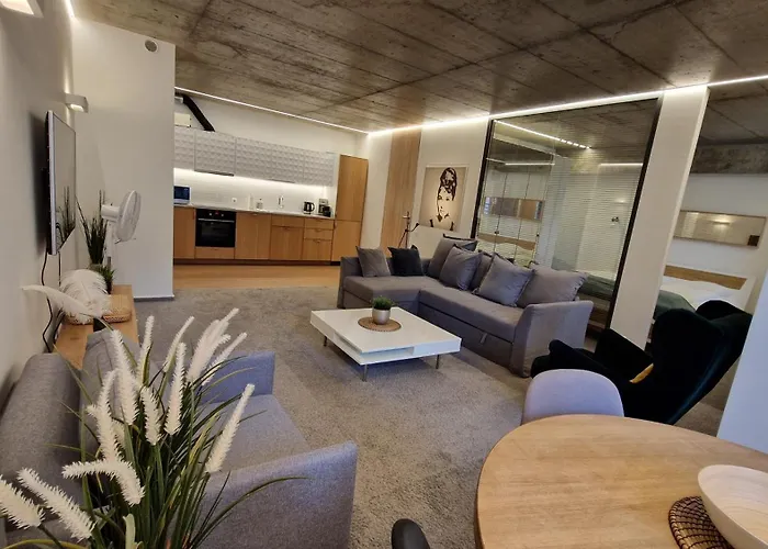 Apartamento Kauno-algirdo Luxury