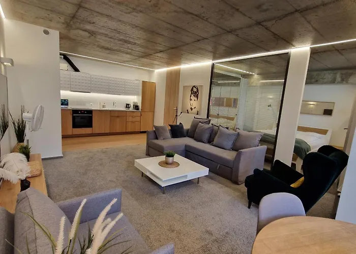 Kauno-algirdo Luxury Appartamento Vilnius